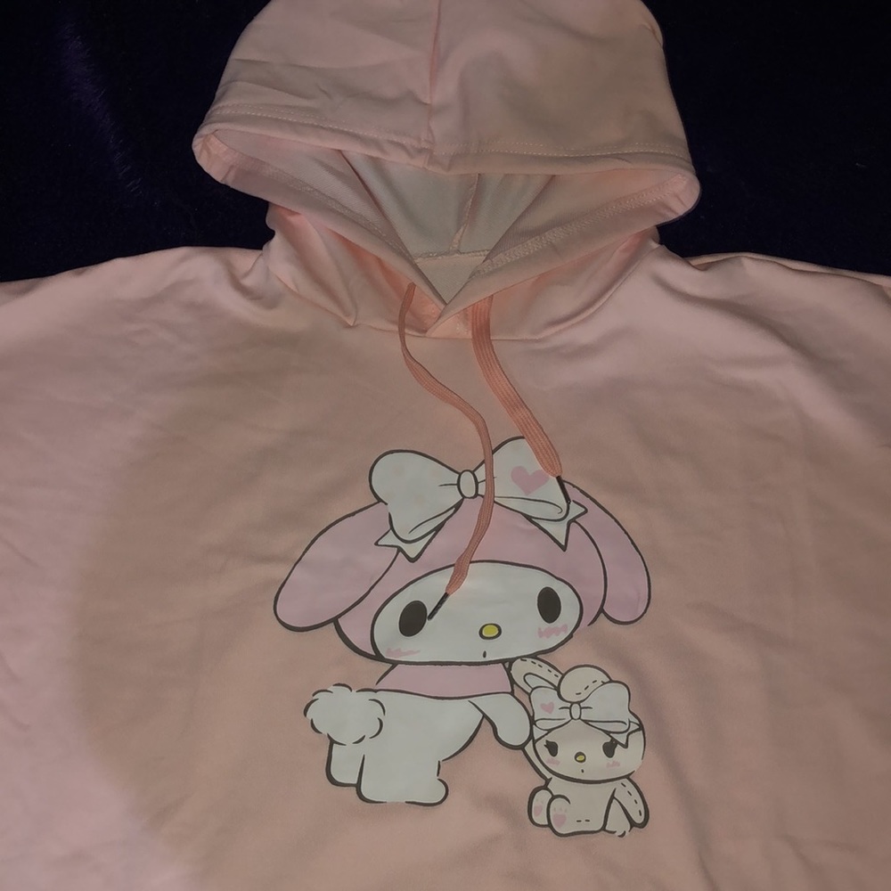 Hoodie - Picture 2 of 2